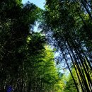 송죽농장 이미지