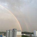 영동건강(주)() - 10460 | 영동건강(주)()