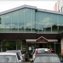 박윤정옛살나비추어탕 | 한방추어탕이 맛있었던 대구 동구 박윤정 옛살나비추어탕