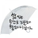 비올렛