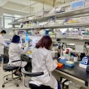 스타메디 이미지