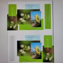 고마운행정사 이미지