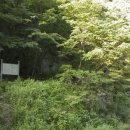 건천(부산) 이미지