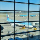 (주)청프린트 | [뉴욕] JFK 공항 픽업 한인 셔틀/택시/우버 가격 비교 입국 출국 심사 후기