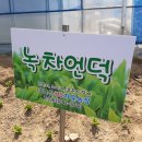 미륵산늘품치유농장 이미지