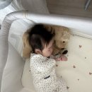 이안할인마트 | 일룸 쿠시노 가드 조합 매트리스 비교(엘라비아 S6 내돈내산 후기)