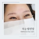 리리아브로우&스칼프 이미지