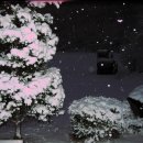 중미산자연휴양림 이미지