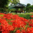 바다 어울림 이미지