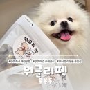 광주 반려동물용품 위글리펫 용봉점 네이버블로그