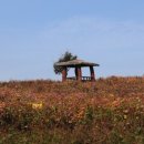 시왕농장 이미지