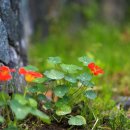 창조모터스 이미지