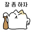 현대정육 이미지