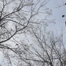 별내중학교 이미지