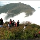 신불산 [神佛山] 1,159m 위 치 : 울산광 이미지