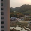 빛가온중학교 이미지