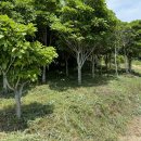 근성농장 이미지