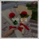 [동탄] 꽃집 <앤베이지플라워>