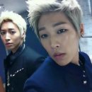 영크린 Daum카페