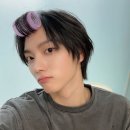 니피 이미지