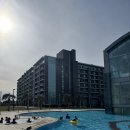 해비치수영장 | 제주 해비치 호텔 수영장 솔직 후기/이용 꿀팁