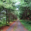 옥화자연휴양림 이미지