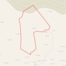 상동 태양광발전소 이미지