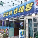 용해동태탕