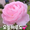 ♡ 지하철에서 생긴 일 이미지