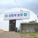 삼형제농장 이미지