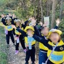 후평숲속유치원 이미지