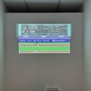 세종시립민속박물관 | 세종시 아이랑 가볼만한 곳: 세종시립민속박물관, 전세 낸 잔디밭에서 모래놀이까지! (조치원 숨은 명소)