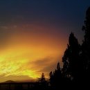 아빠가 지은 집 이미지