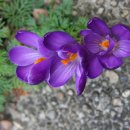 민 행정사 이미지