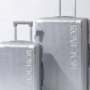 리틀애견 이미지