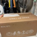 [카라향 리뷰]5월 제철과일 제대로 즐기기, ‘담아온 카라향’ 추천 및 후기