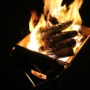 내리계곡 솔밭캠핑장 이미지