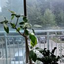 부영6차아파트 이미지