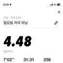 수진미용실 네이버블로그