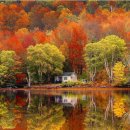 오렌지세탁소 이미지