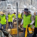 대전면사무소 이미지