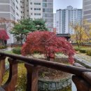 서초대로42길 44 이미지