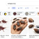 중고물류센터 | 물류센터 도난 당한 사람 후기 예방 방법