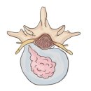 화정탑한의원 이미지