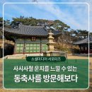 동축사 | 울산 동구에 사시사철 가볼만한 곳 추천, 운치를 느낄 수 있는 동축사를 방문해보다