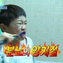 메이플치과 네이버블로그