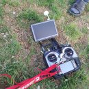 강화섬보리밥 이미지