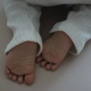 엘에스와이 이미지