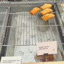 오백국수판교LH | [ 경기도 / 판교 ] 판교 가성비 커피 맛집 : 가든서비스 | 단체 모임 추천 | 데이트 카페 추천 | 판교...