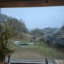 황금가든 이미지